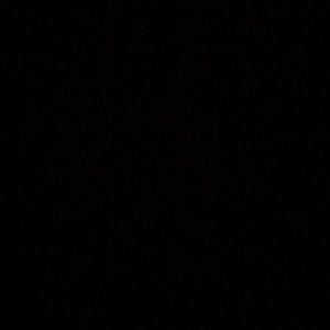 Meet your Posher, Omari